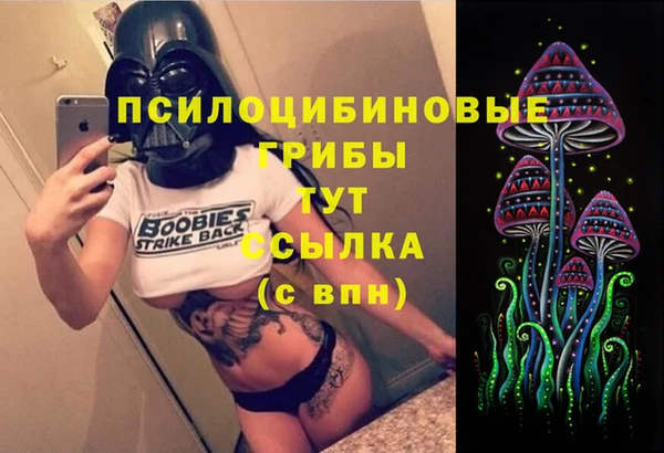 марки lsd Лабытнанги