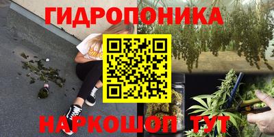 кокс Нарткала