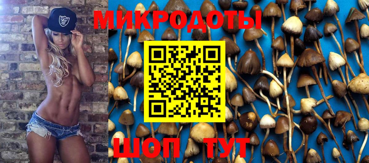 Галлюциногенные грибы Psilocybe Усть-Кут